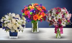 Image of sale on Blooms Today 3.7