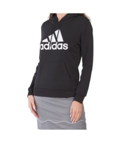 Image of sale on Fleece Pullover Big Logo Hoodie