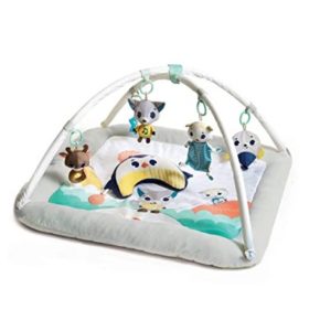 Image of sale on Gymini Deluxe Infant Activity Gym Play Mat