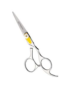 Image of sale on Professional Hair Scissors