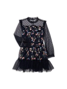 Image of sale on ​little Girl’s Mesh Embroidered a Line Dress