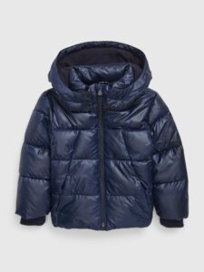 Image of sale on Toddler  Shine Puffer Jacket