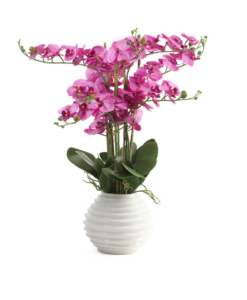 Image of sale on 30in Orchid in Swirl Vase