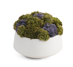 Image of sale on Sedum Floral Arrangement