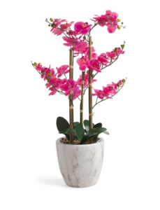 Image of sale on 40in Real Touch Orchid in Marble Pot