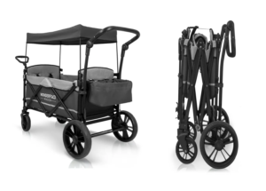 Image of sale on 2-seater Wagon Stroller