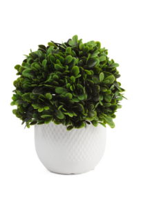 Image of sale on 9in Topiary Ball in Planter