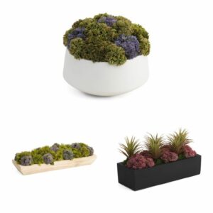 Image of sale on Creative Displays & Designs