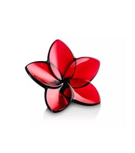 Image of sale on Bloom