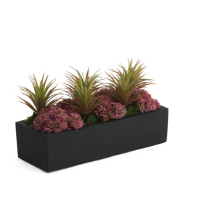 Image of sale on Sedum and Succulent in Planter