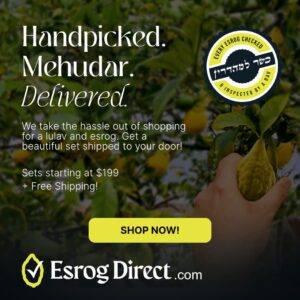 Image of sale on $10 off Your Lulav & Esrog Set from Esrogdirect