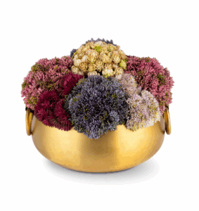 Image of sale on Beatrix Gold Sedum Arrangement