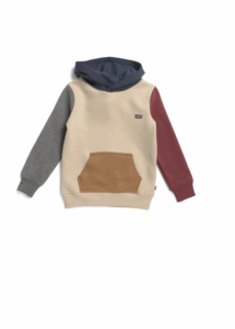 Image of sale on Little Boys Color Block Hoodie
