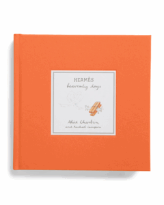 Image of sale on Hermes Heavenly Days Book