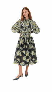 Image of sale on Nina Shirtdress