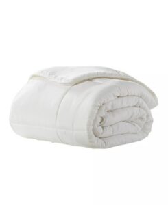 Image of sale on Cozy Touch Down-alternative Comforter, Twin